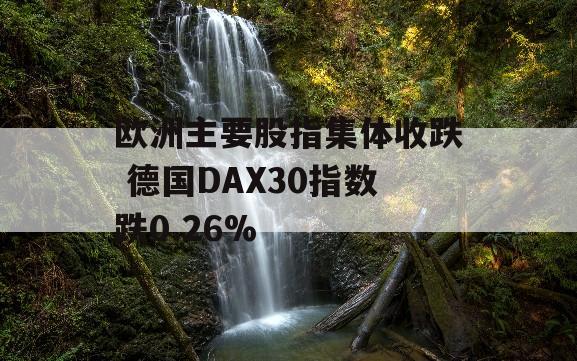 欧洲主要股指集体收跌 德国DAX30指数跌0.26%