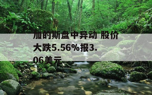 加的斯盘中异动 股价大跌5.56%报3.06美元